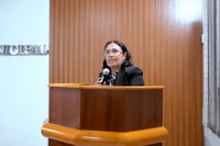 Presidente interina da Câmara reforça independência dos poderes e cobra esclarecimentos do Executivo
