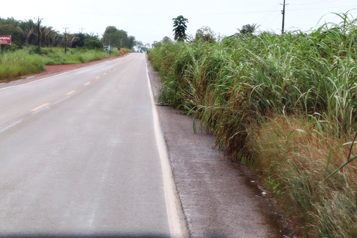 Limpeza do matagal nas laterais da rodovia Lúcia Tereza é solicitada junto ao DER