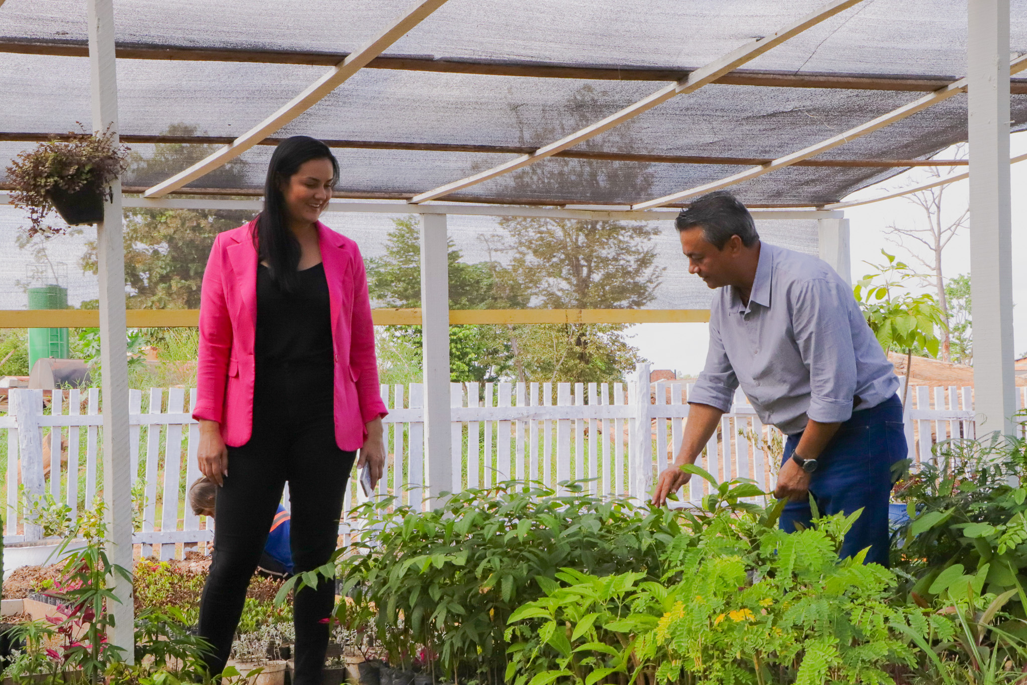 Presidente Delker Nobre e Prefeito visitam viveiro de mudas