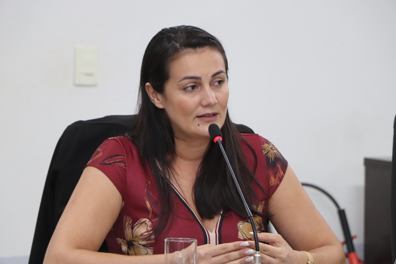 Projeto de Lei da vereadora Delker visa atender mulheres vítimas de violência doméstica